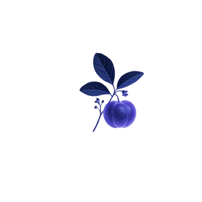 Acérola